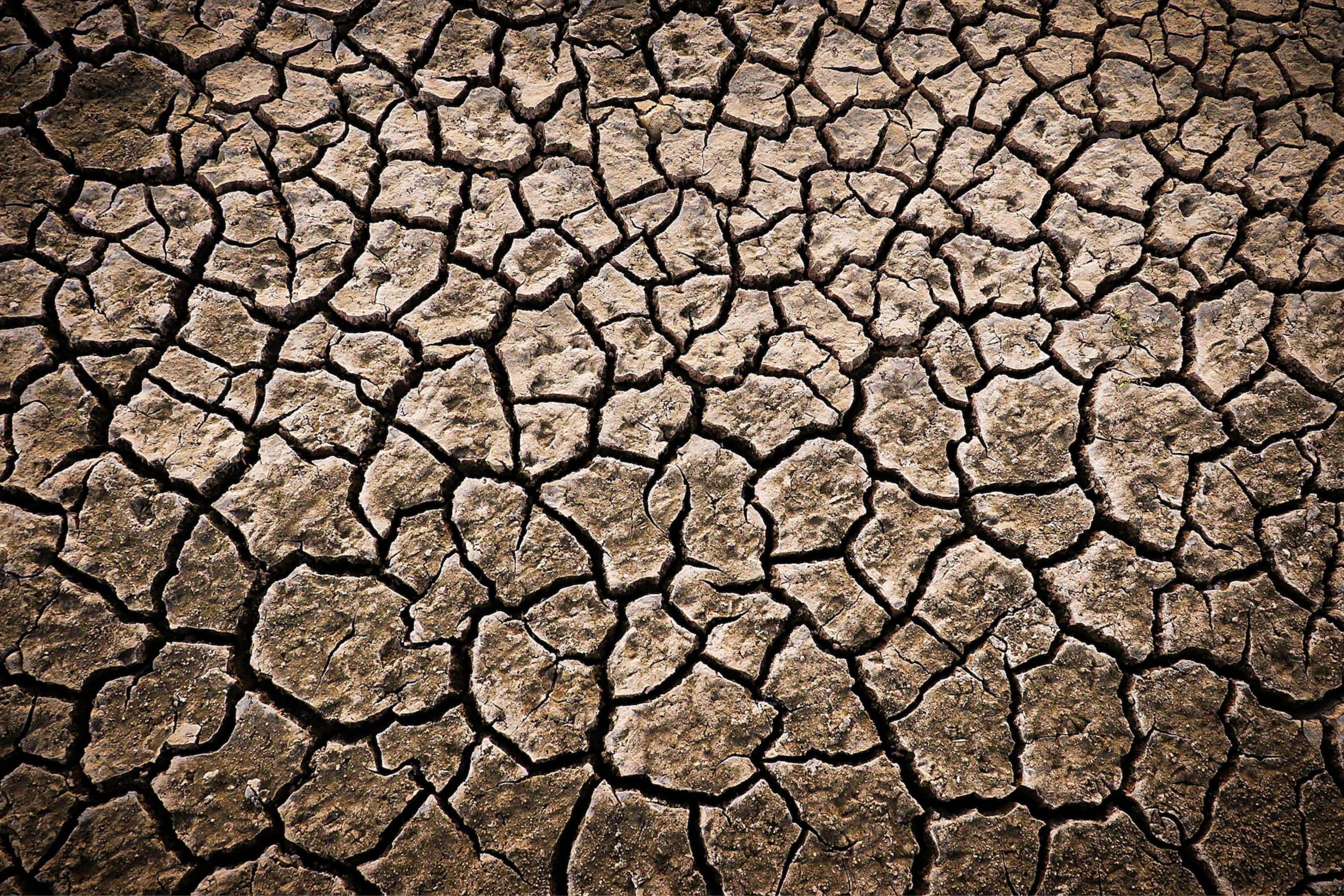 An image of a dry desert surface.