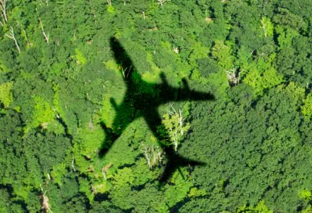 An image of a plane flying over trees.